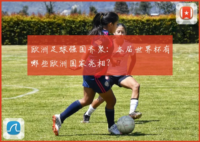 欧洲足球强国齐聚:本届世界杯有哪些欧洲国家亮相?