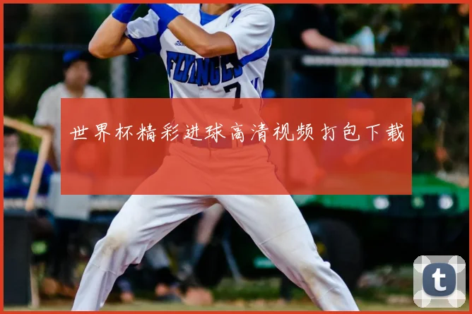 世界杯精彩进球高清视频打包下载