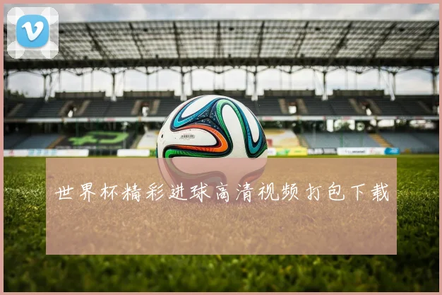 世界杯精彩进球高清视频打包下载