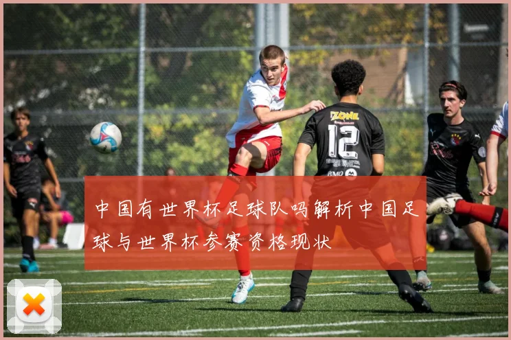 中国有世界杯足球队吗解析中国足球与世界杯参赛资格现状