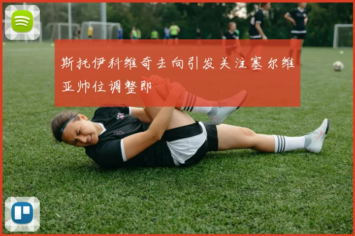 斯托伊科维奇去向引发关注塞尔维亚帅位调整即